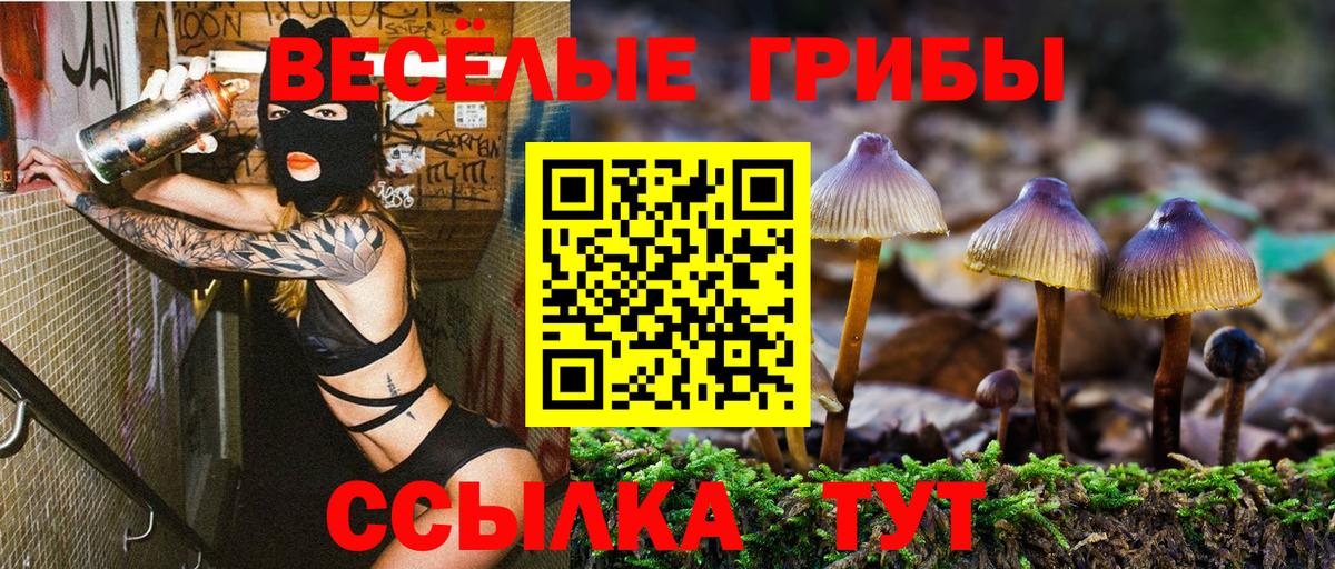 Псилоцибиновые грибы Cubensis  Псилоцибиновые грибы Cubensis  Ростов Великий  Вход с VPN 
