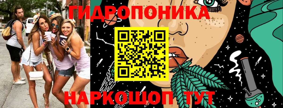 Бошки Шишки ГИДРОПОН Ростов Великий